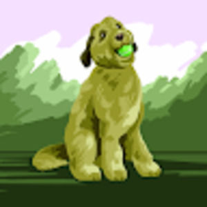 Meet your Posher, Pedro